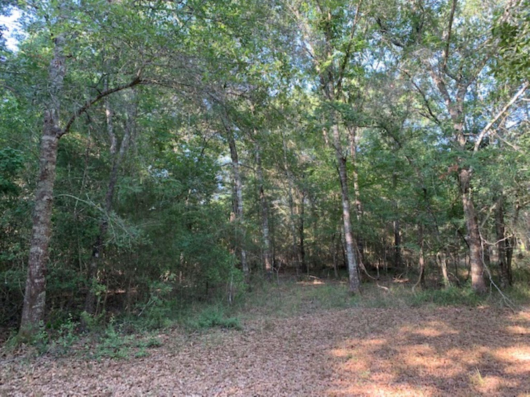 0000 Kickapoo Road