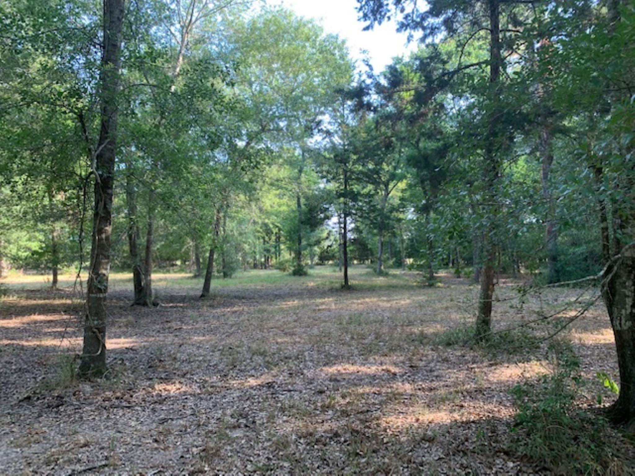 0000 Kickapoo Road