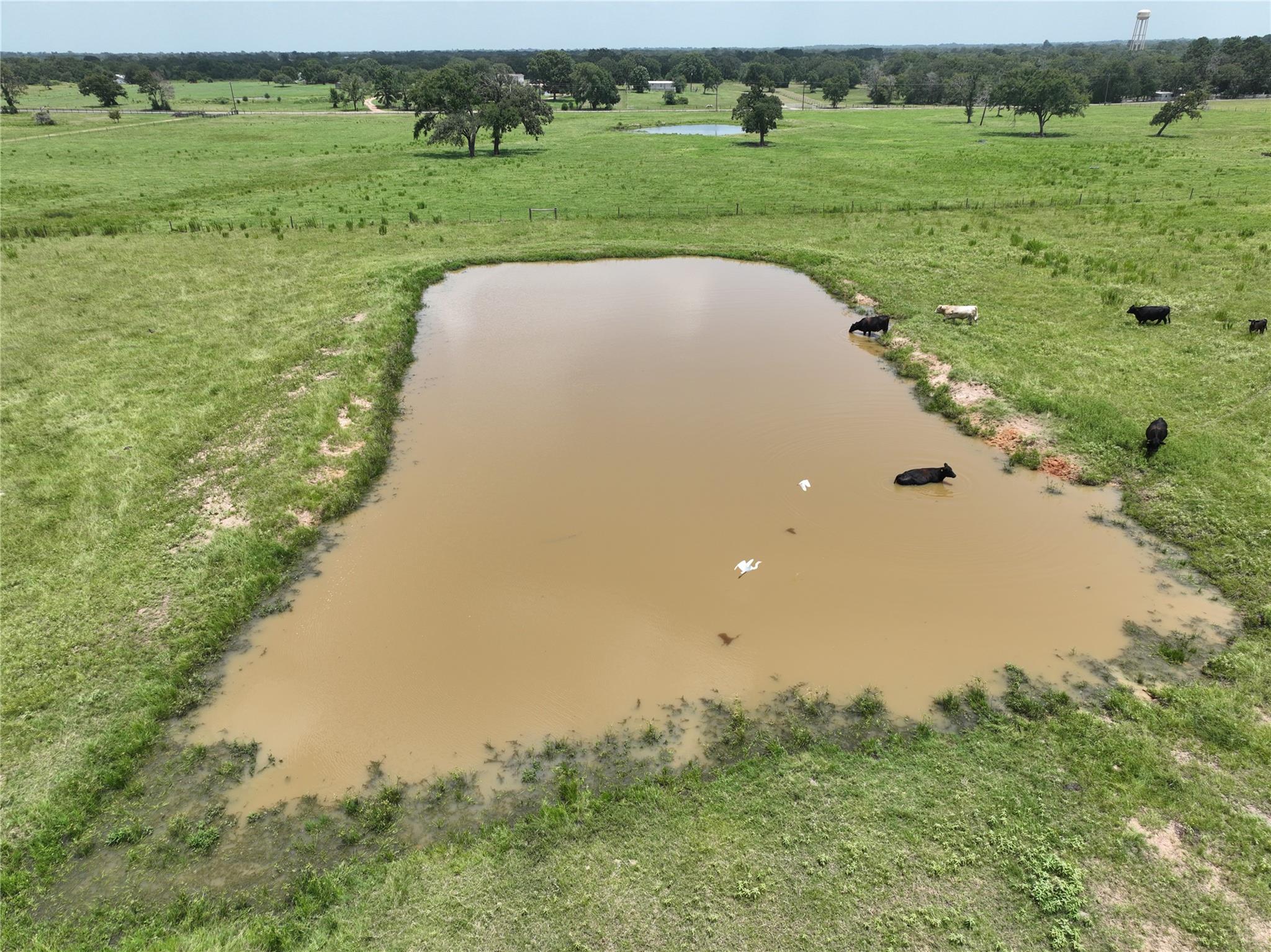 32634 Fm 1736 Road