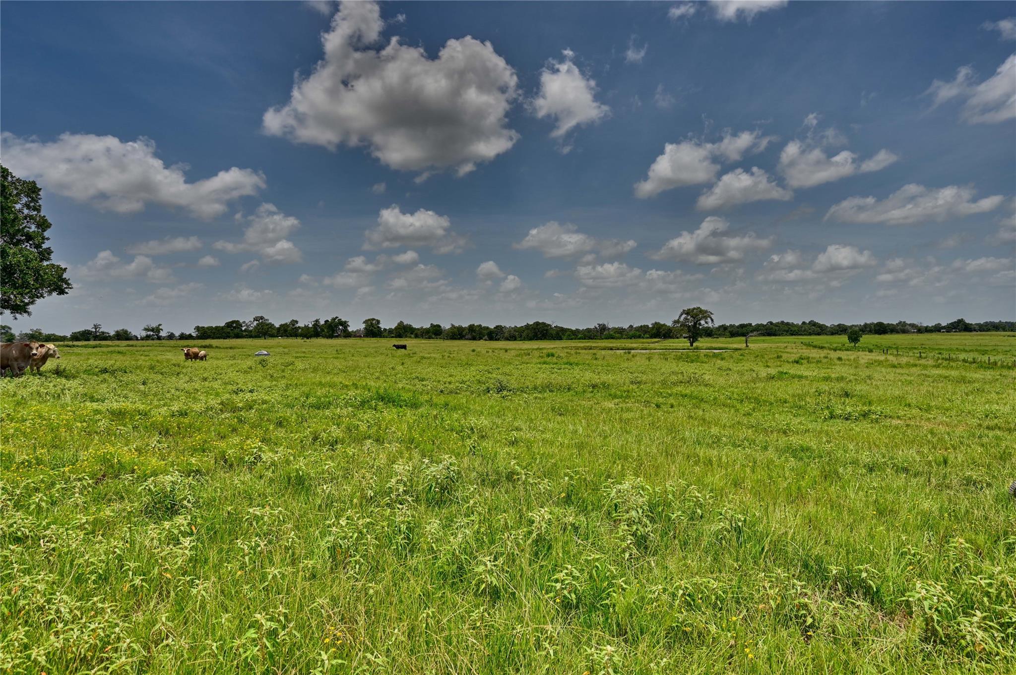32634 Fm 1736 Road