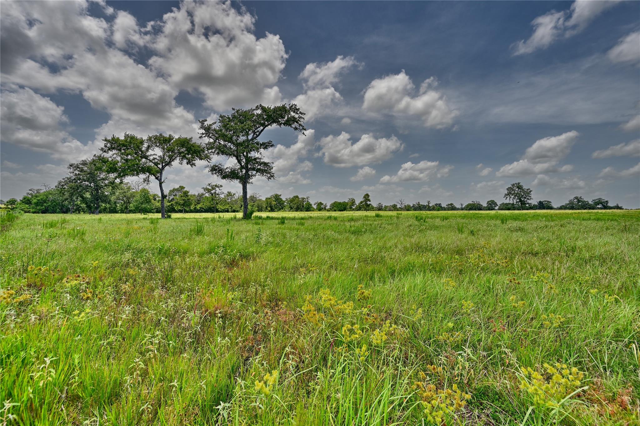 32634 Fm 1736 Road