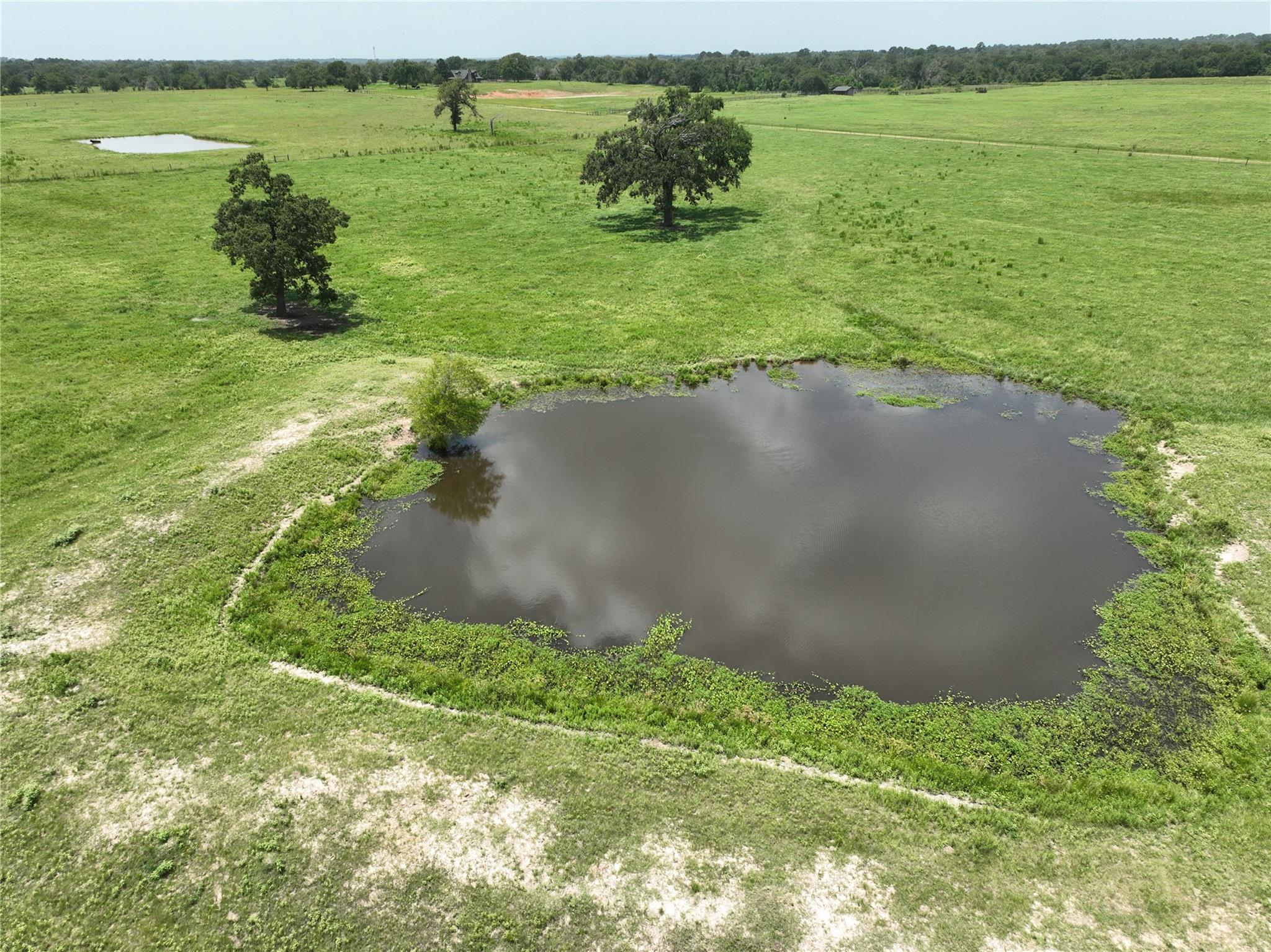 32634 Fm 1736 Road
