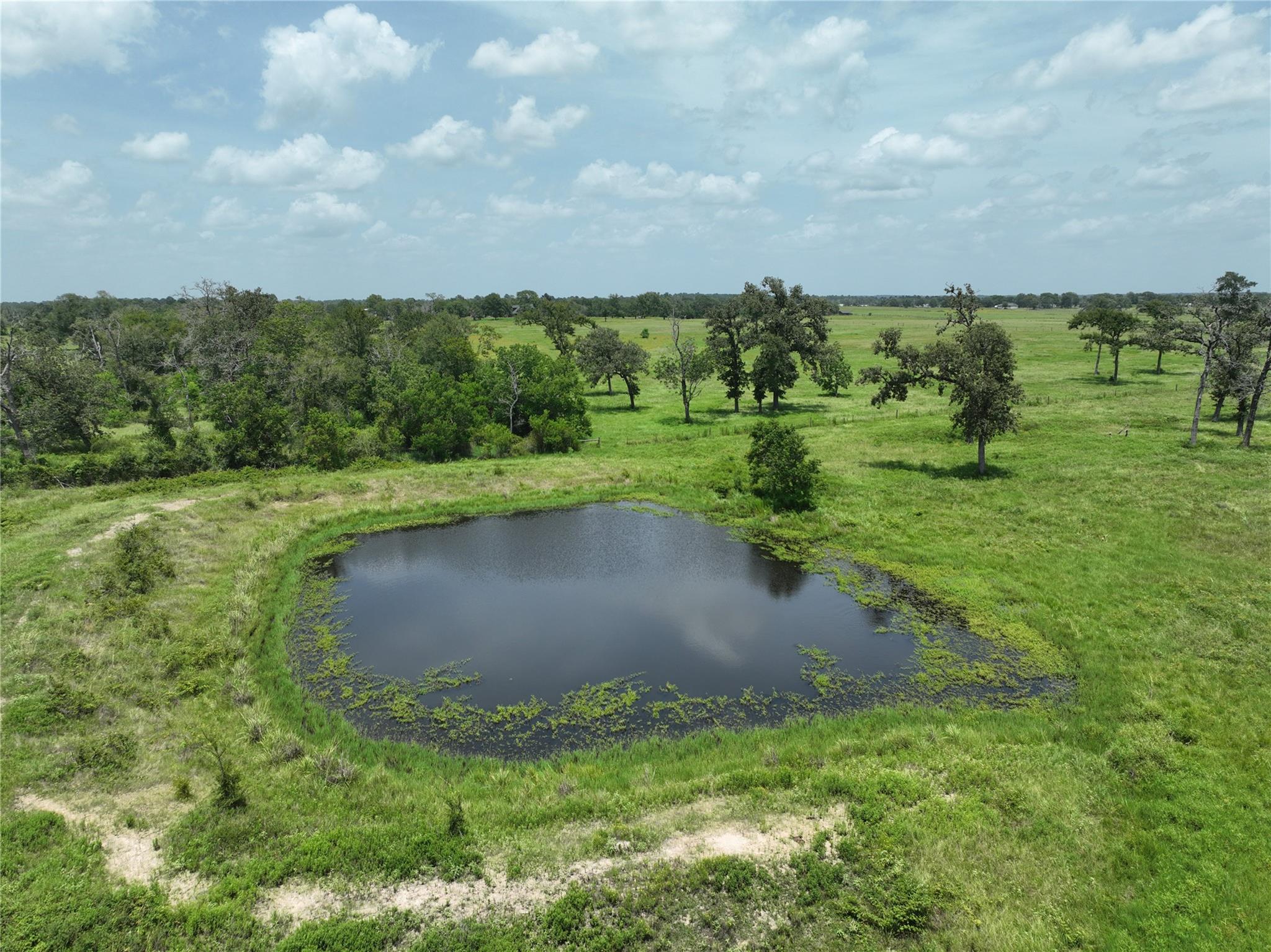 32634 Fm 1736 Road