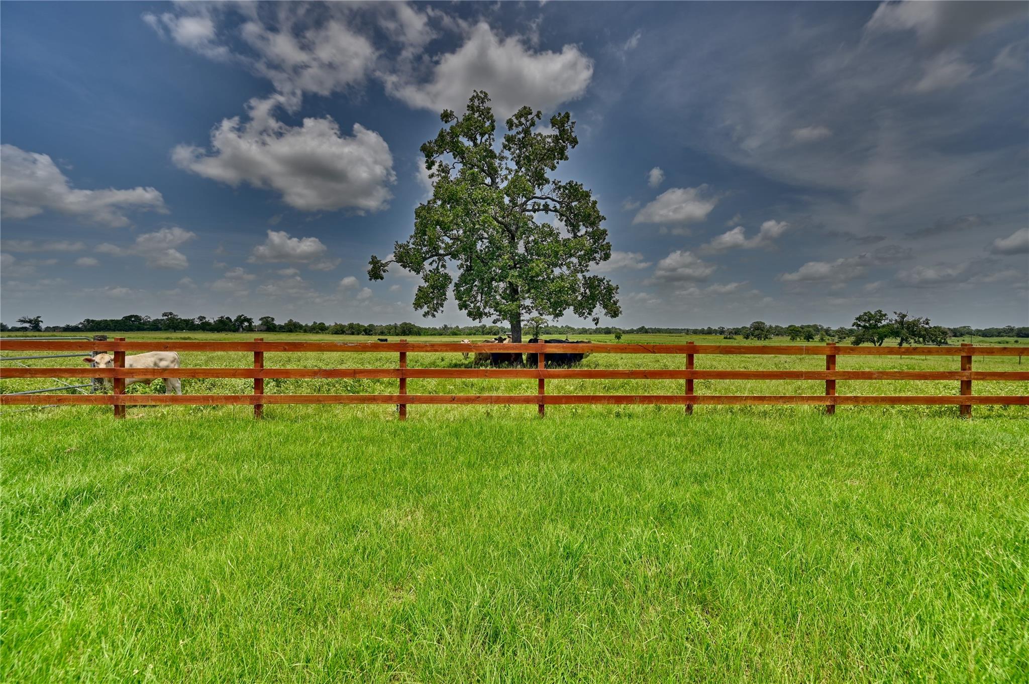 32634 Fm 1736 Road