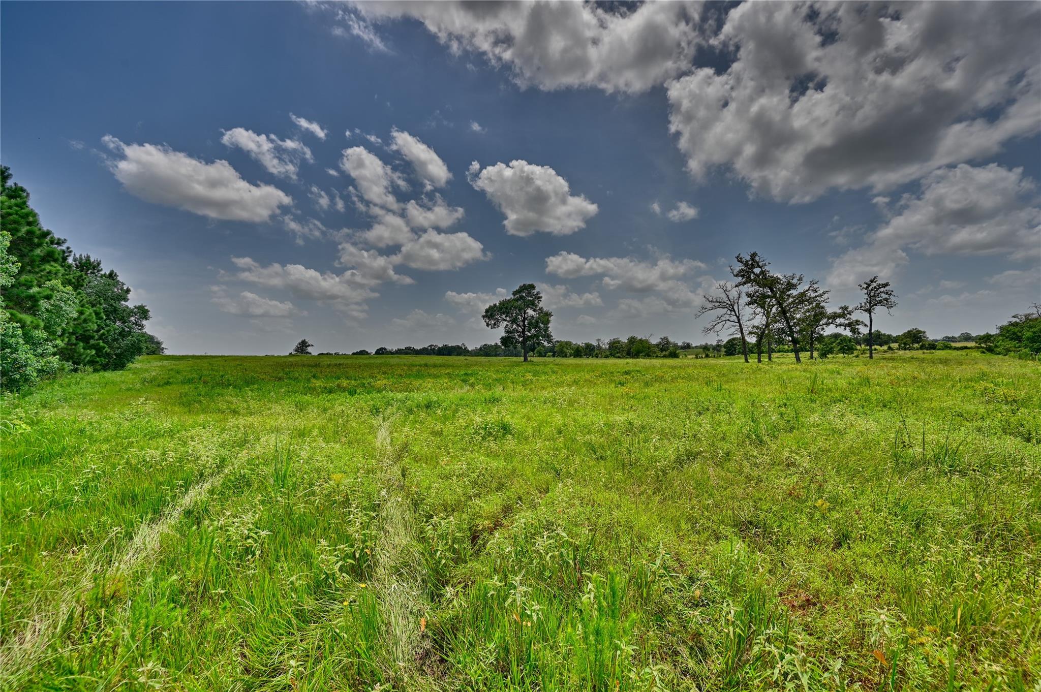 32634 Fm 1736 Road