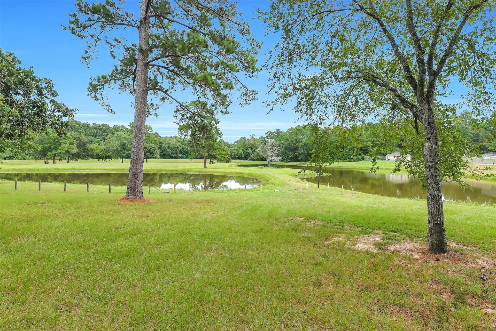 Grassy property with a pond framed by mature trees and a wooded tree line.