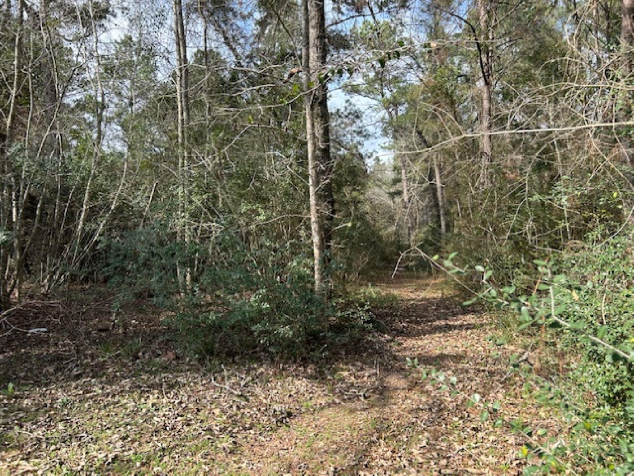 30996 Strathmore Road