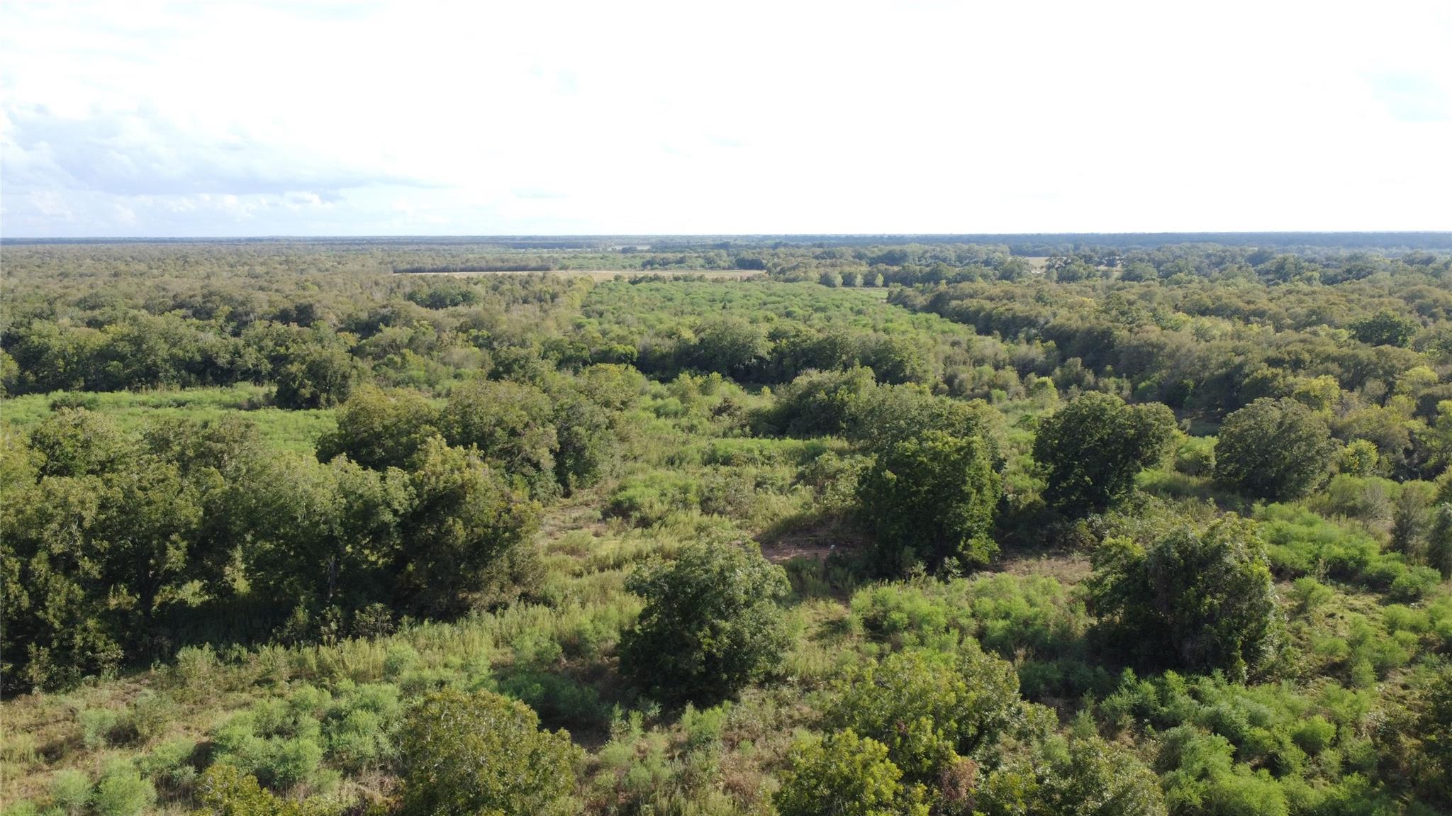 Aerial view of wooded acreage with dense trees, brush, and scattered open patches.