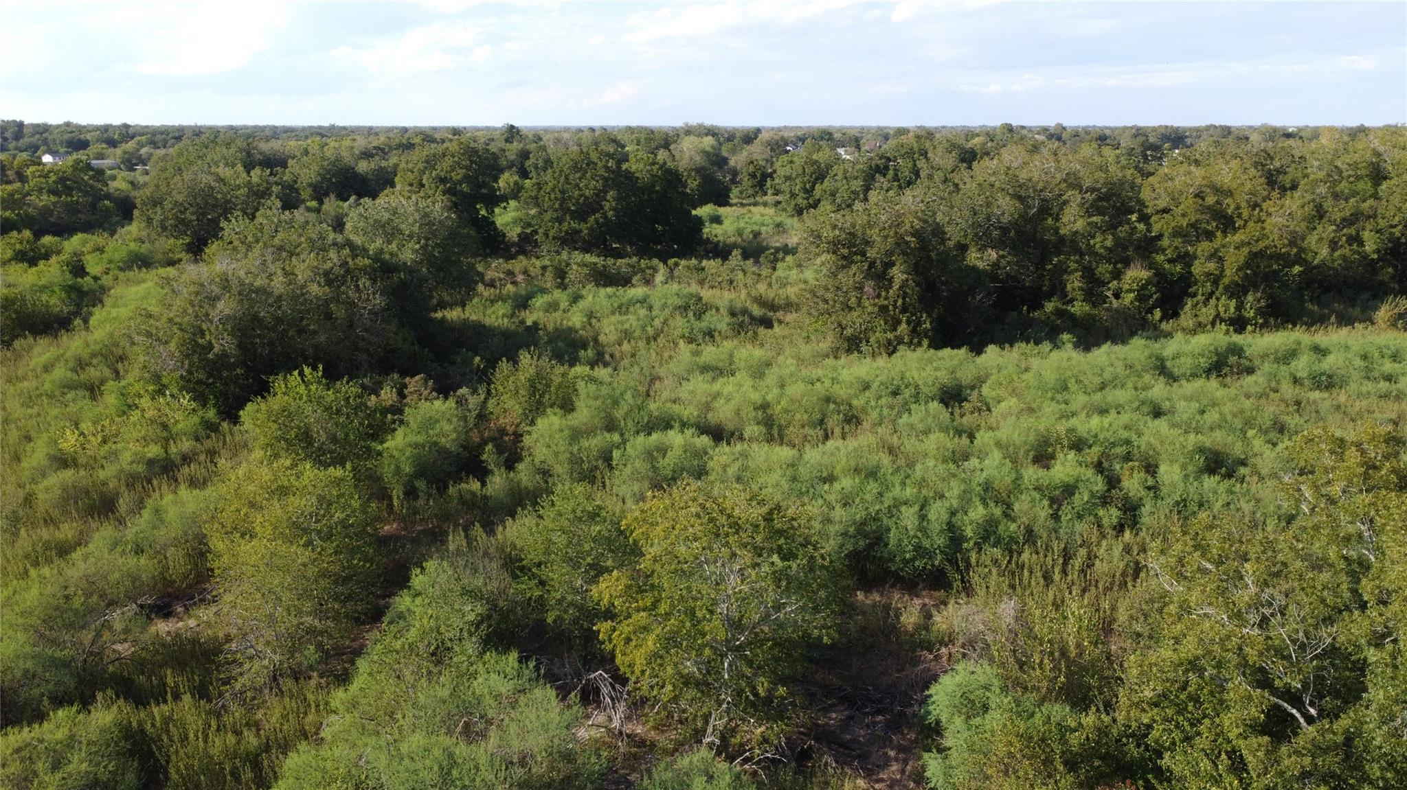 Aerial view of brush-covered land bordered by dense trees, with a few distant homes.