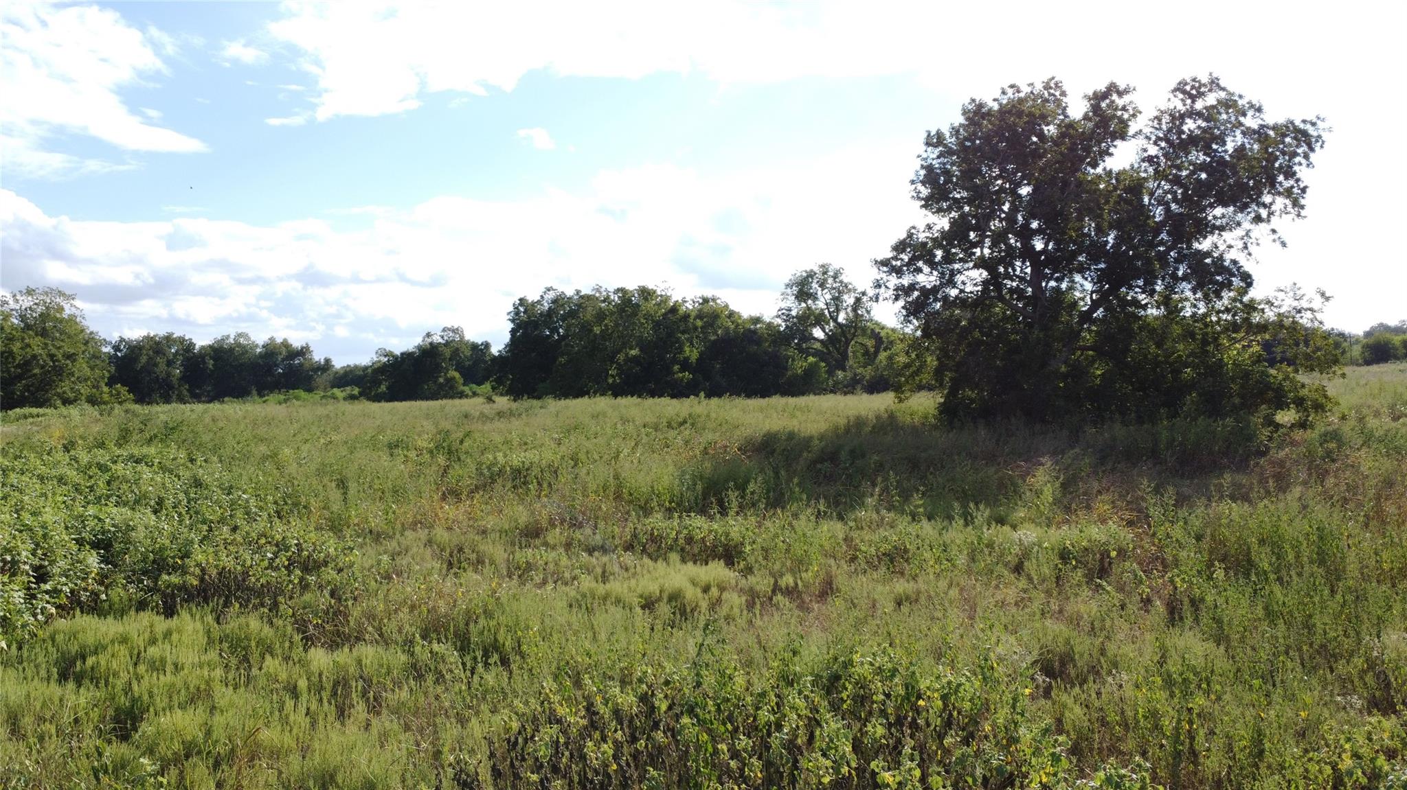 Open grassy land bordered by mature trees beneath a partly cloudy sky.
