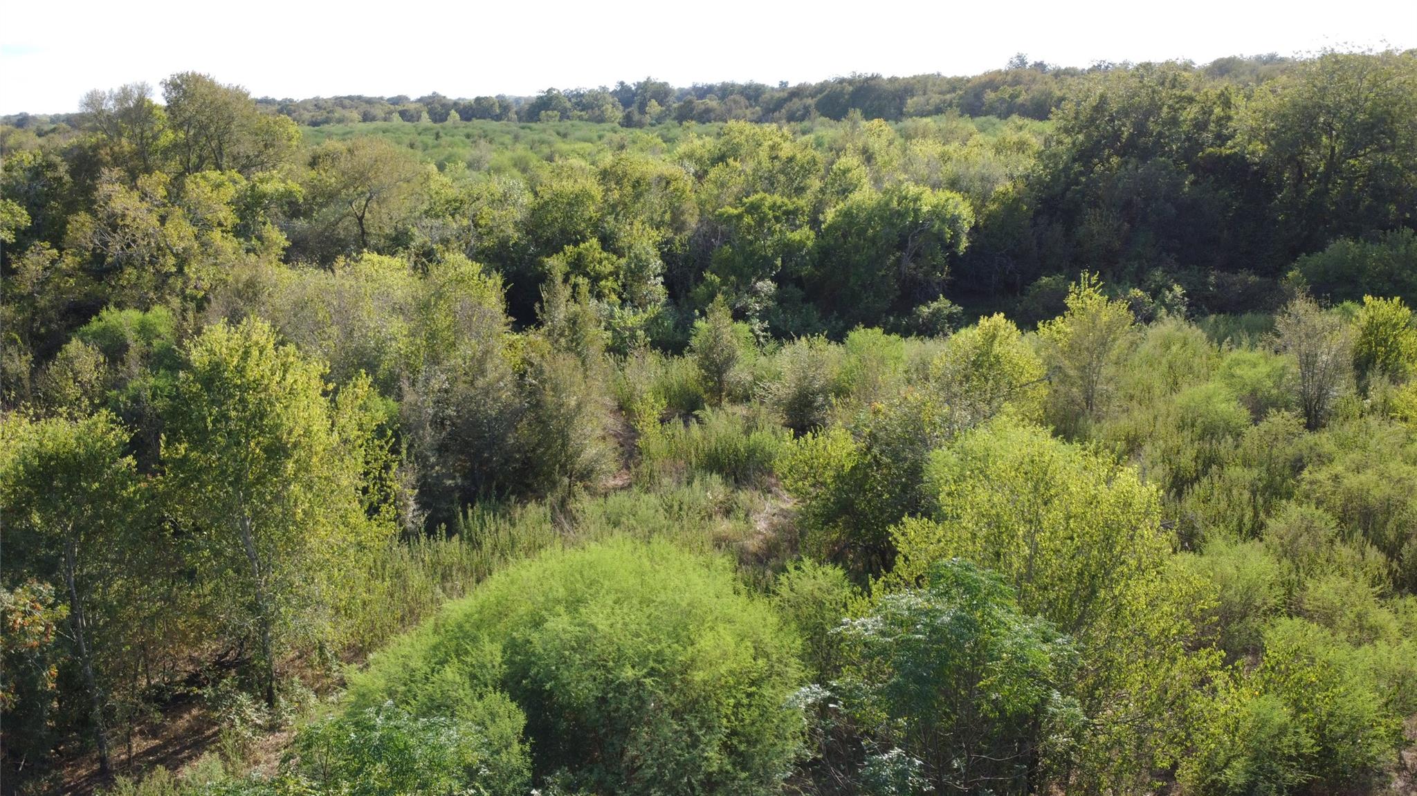 Aerial view of wooded land with dense trees, brush, and a narrow clearing.