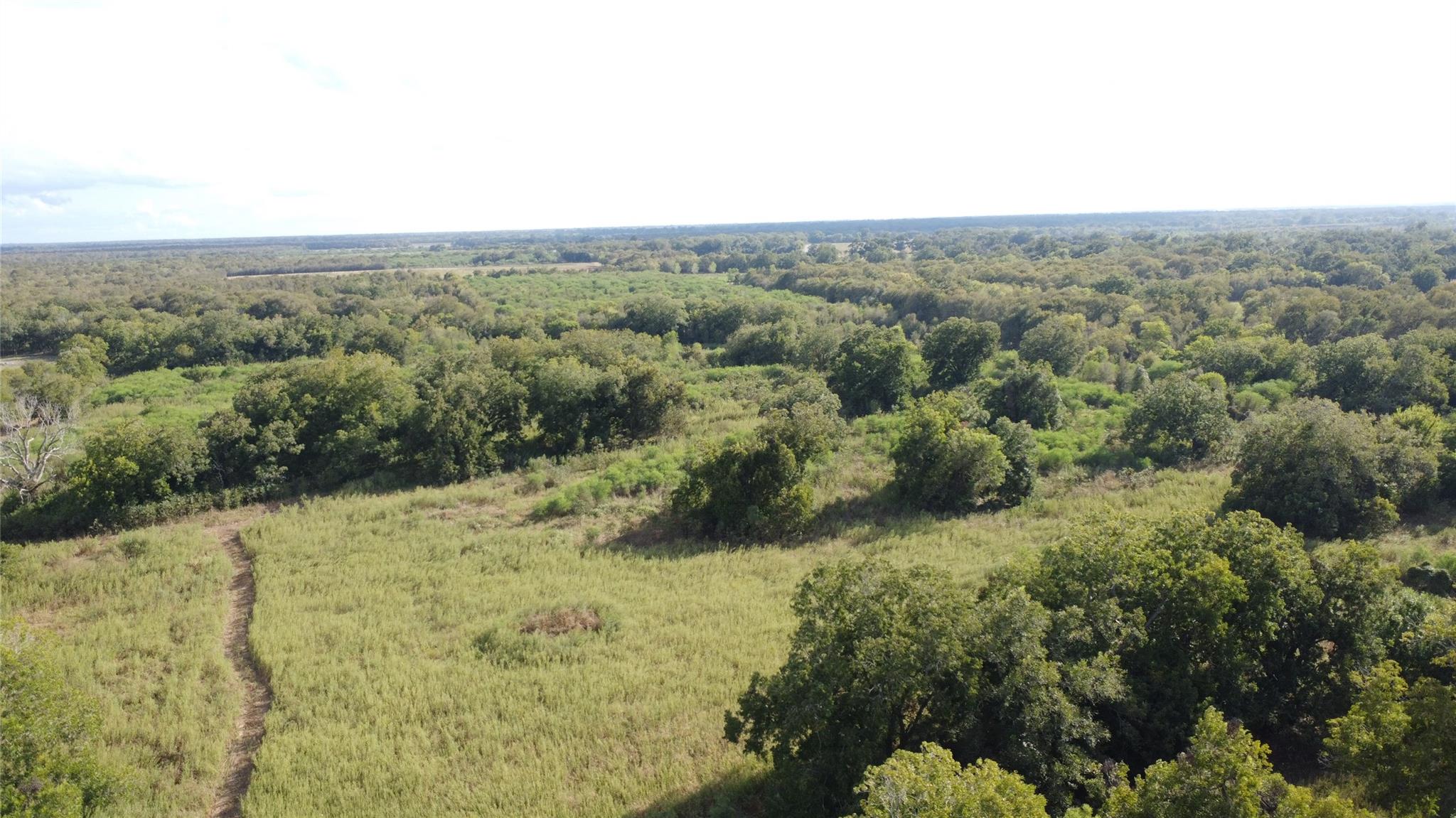 Aerial view of grassy fields and dense woods, with a narrow dirt track crossing the property.