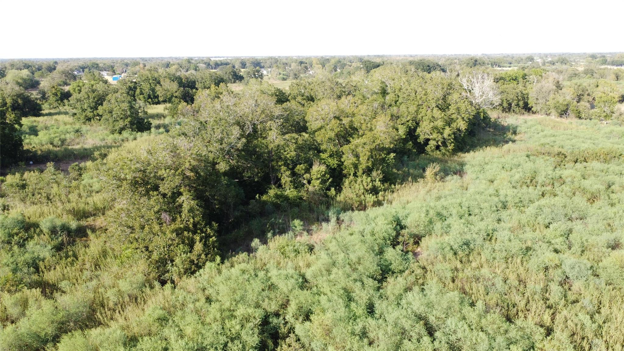 Aerial view of open grassy land with dense tree clusters and woodland.