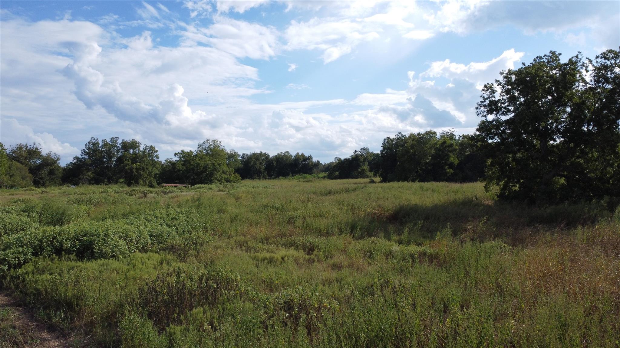 Open grassy field bordered by mature trees beneath a bright, cloud-filled sky.