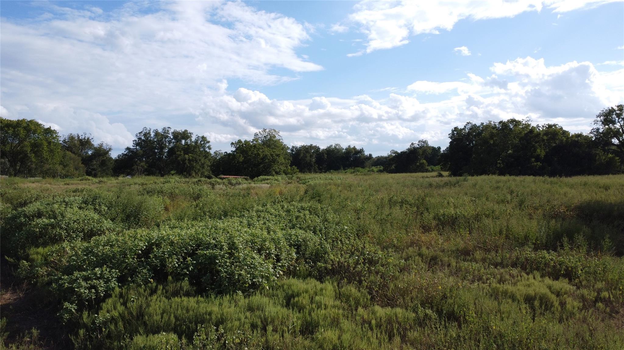 Open grassy property with brush, mature trees, and a small roof in the distance.