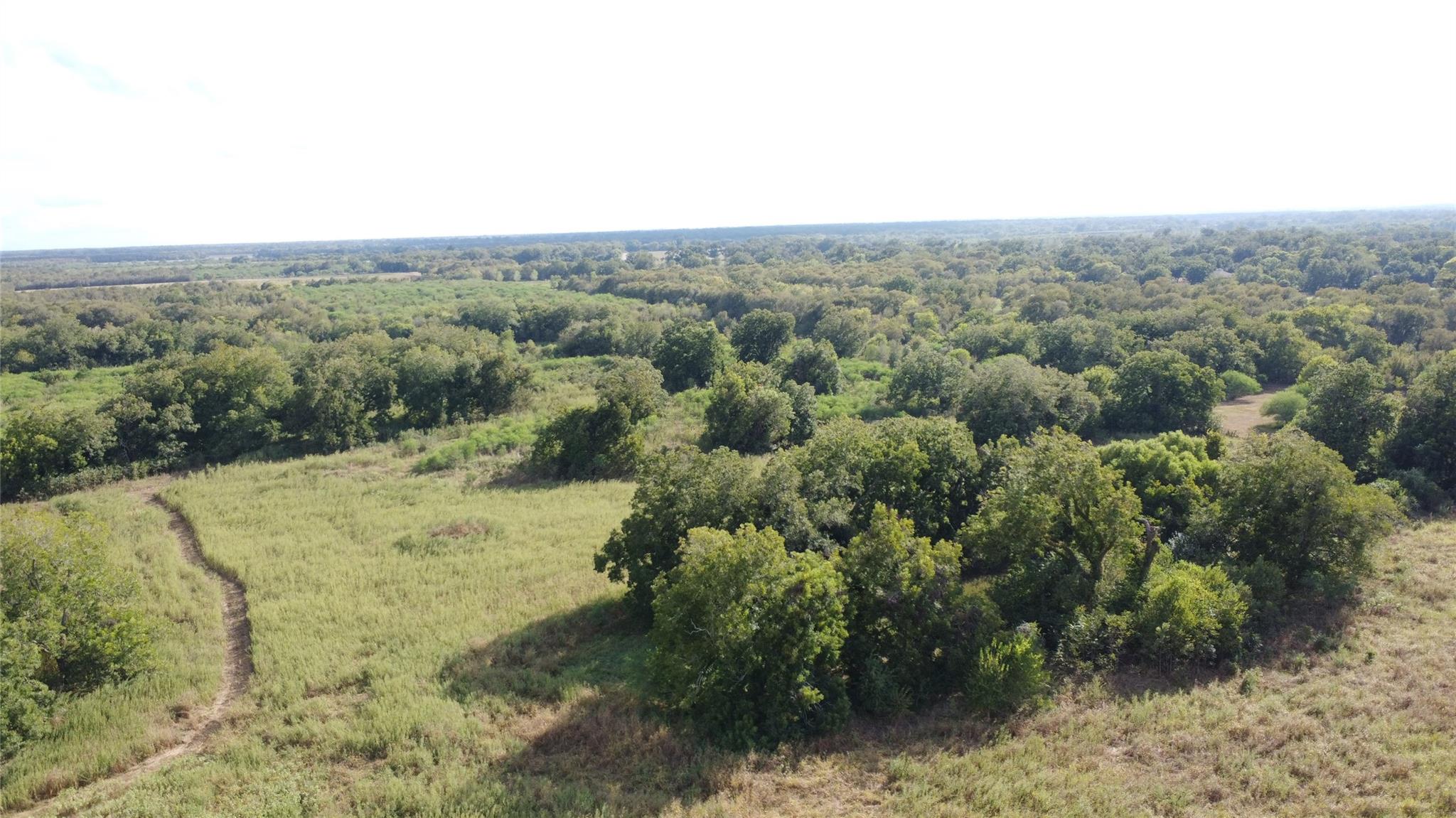 Aerial view of wooded acreage with grassy clearings and a narrow dirt track.