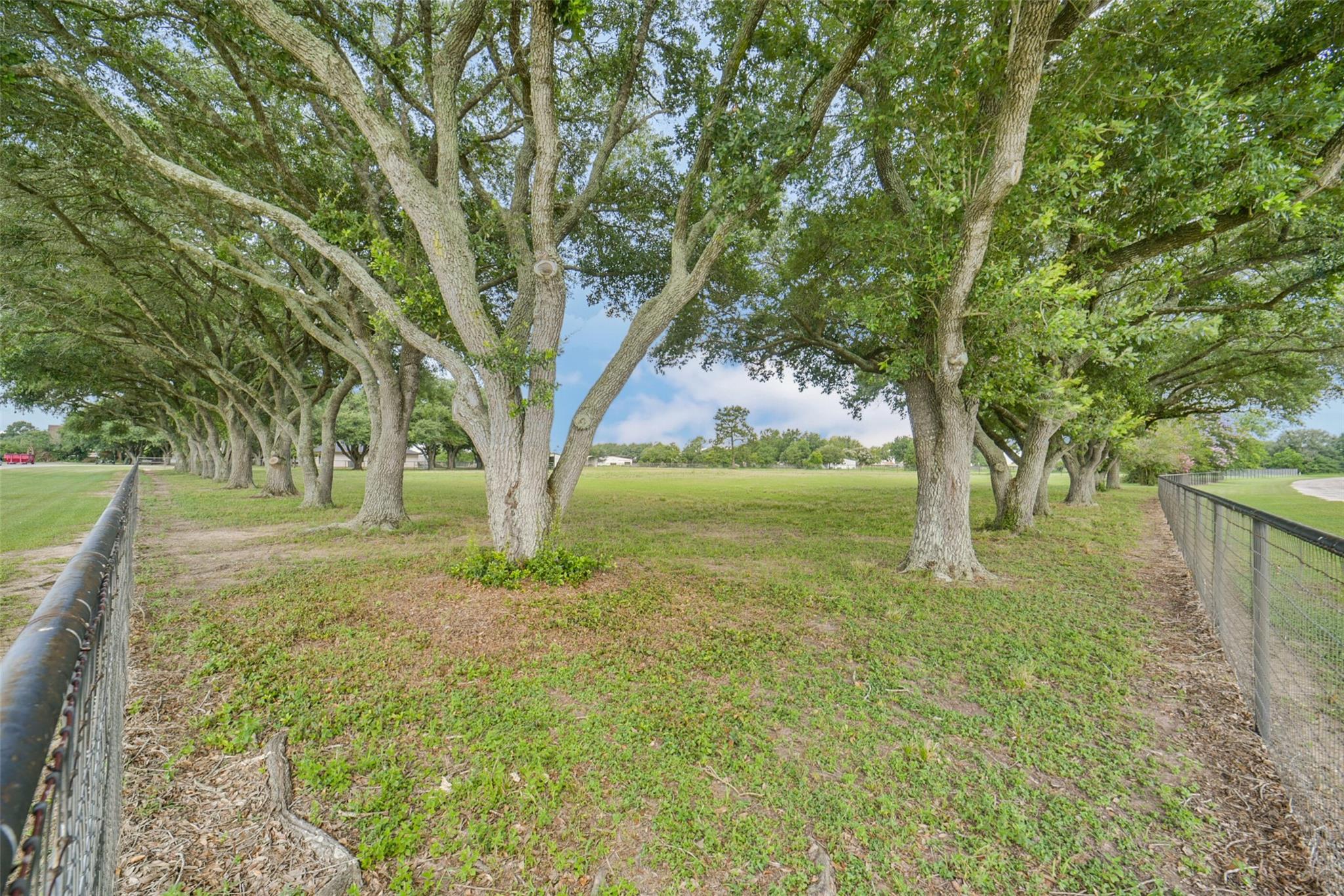 29103 Quail Nest