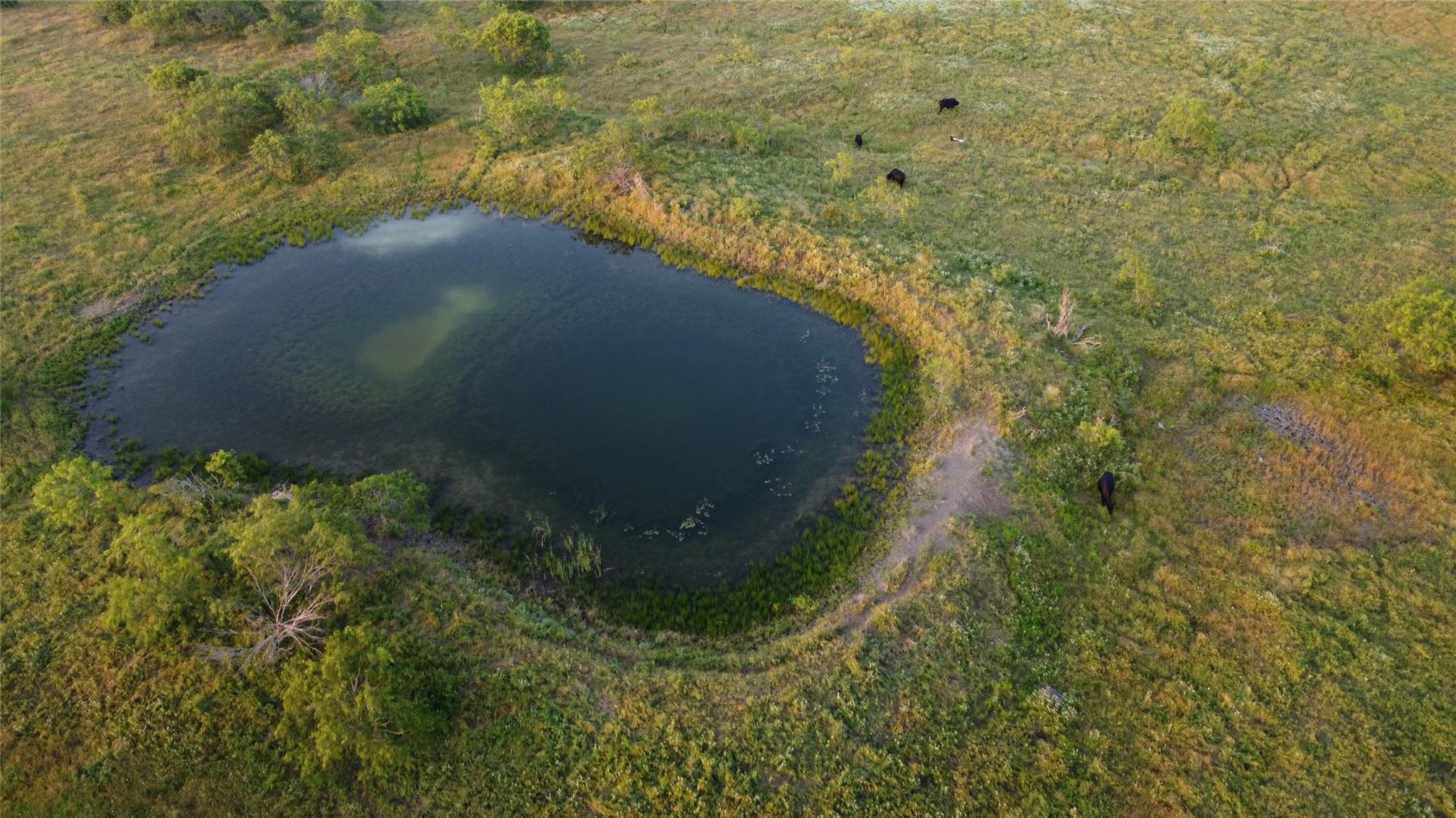 4648 Fm 147, Groesbeck