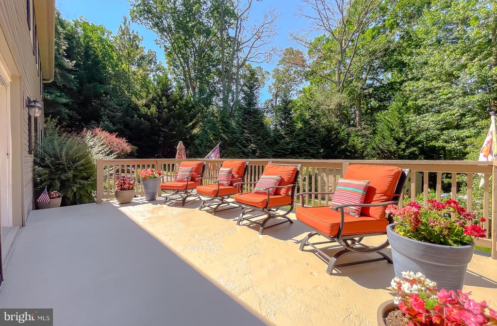 528 Chisholm Trl