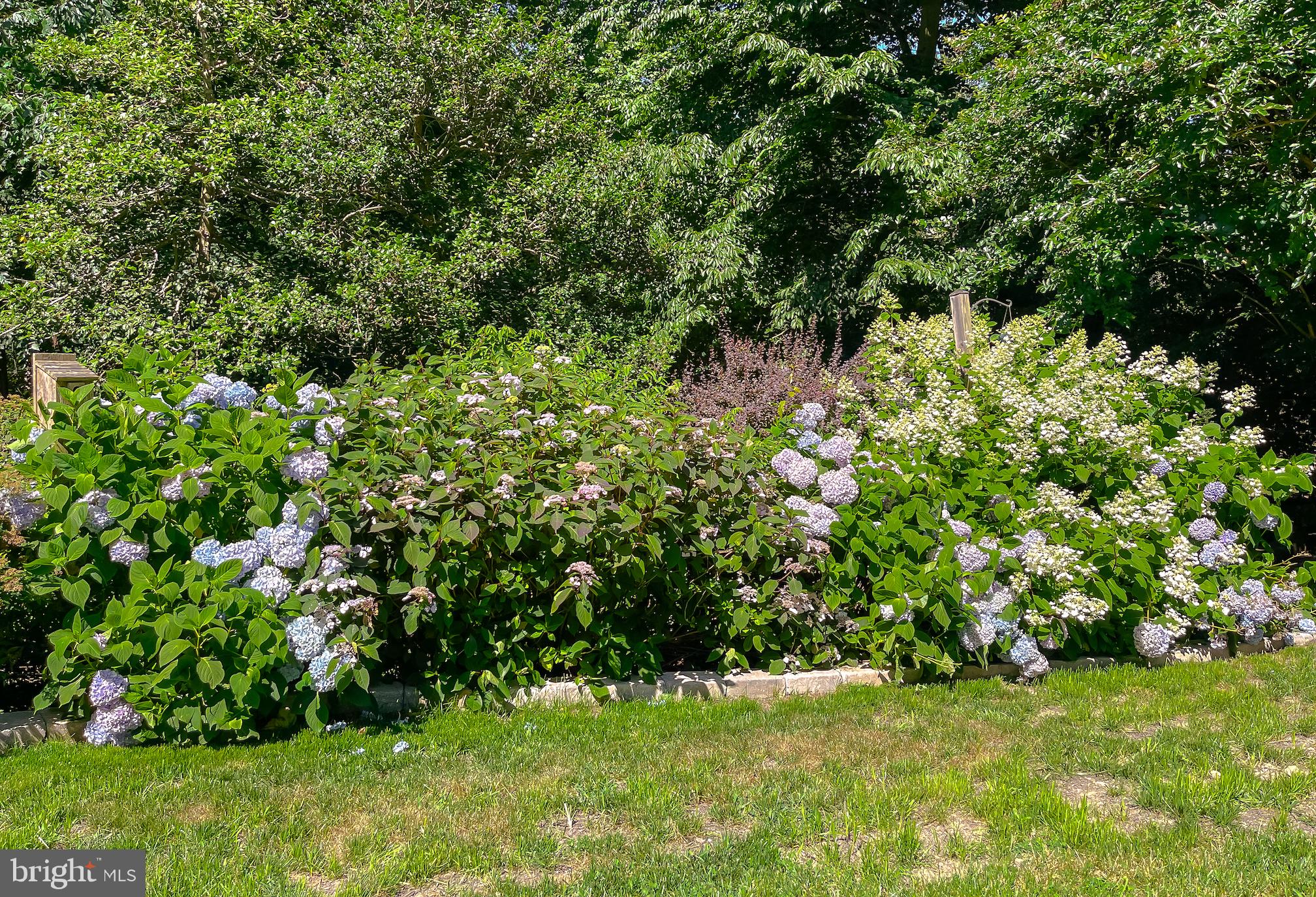 528 Chisholm Trl