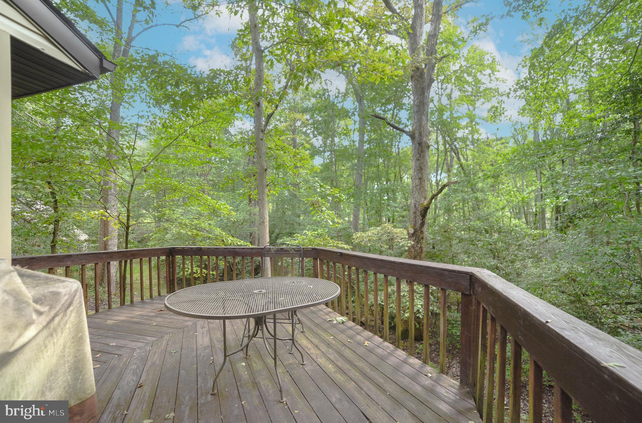 23320 Holly Hill LANE