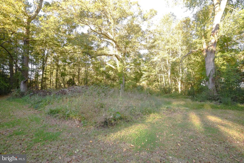 45351 Drayden Rd