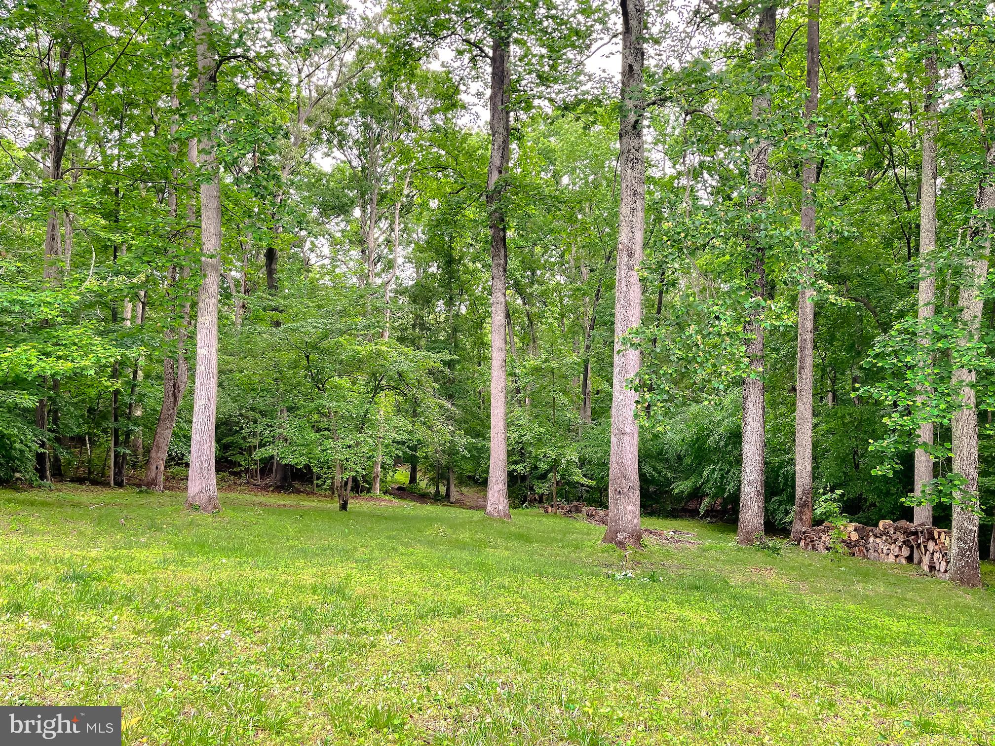 26468 Forest Hall Dr