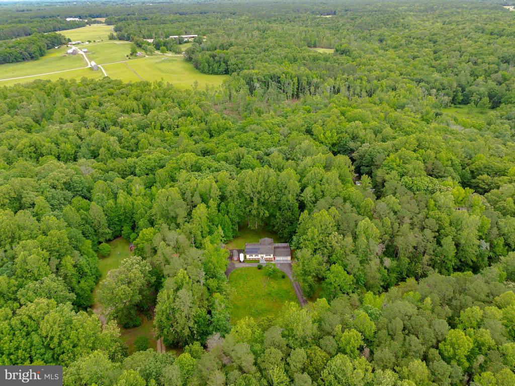 26468 Forest Hall Dr