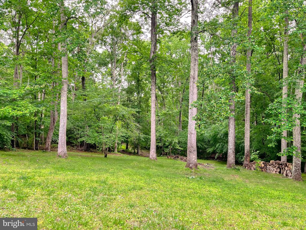 26468 Forest Hall Dr