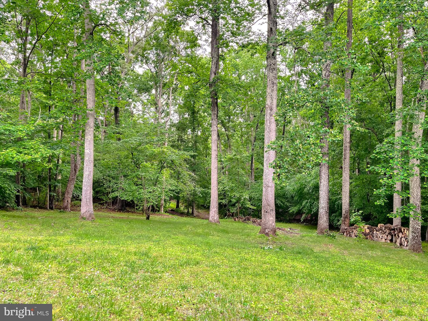26468 Forest Hall Dr