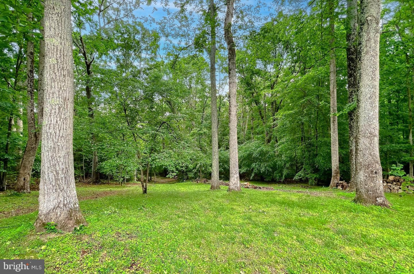 26468 Forest Hall Dr