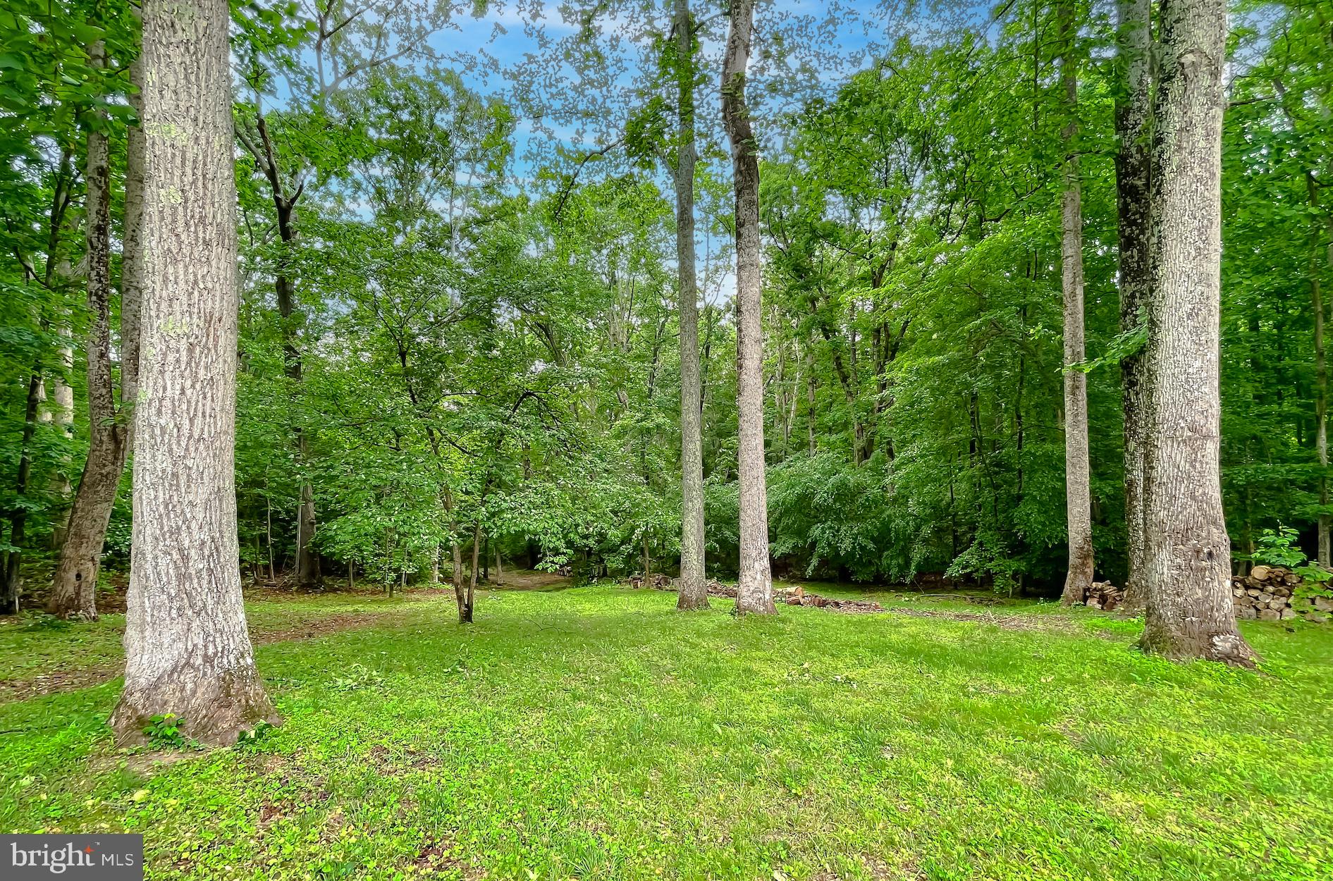26468 Forest Hall Dr