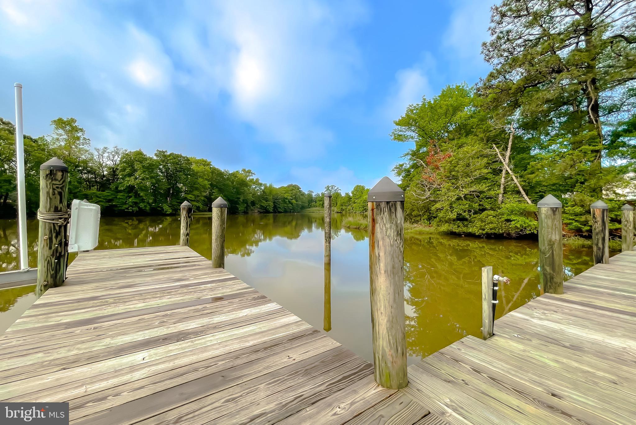 49685 Buzzs Marina Way