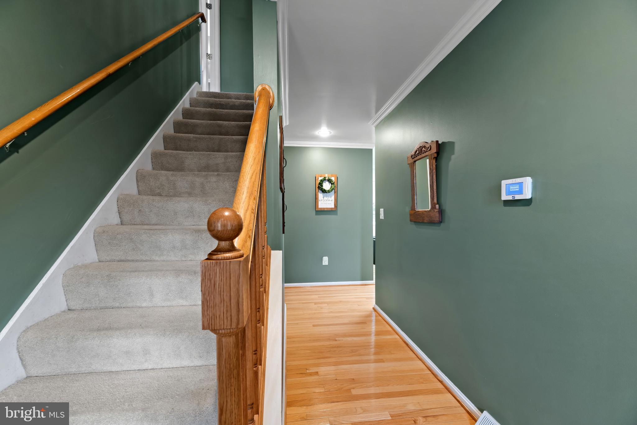 45920 WILD ROSE LANE