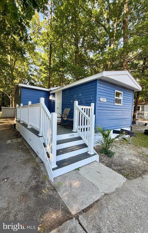239 DOVE STREET