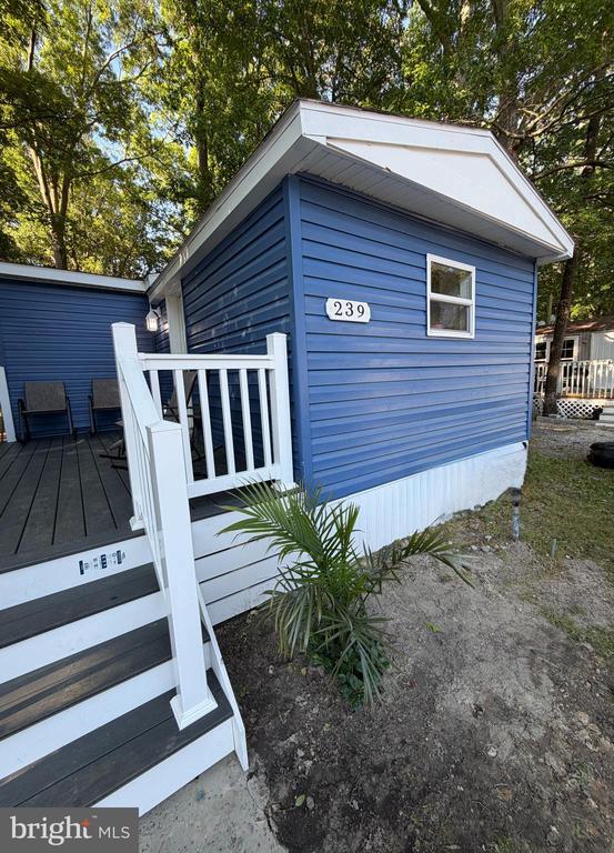 239 DOVE STREET