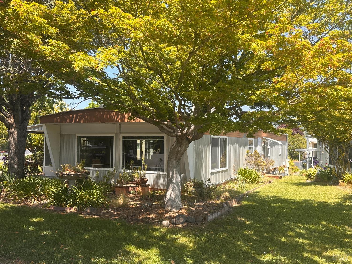 185 Pas Pajaros Calle