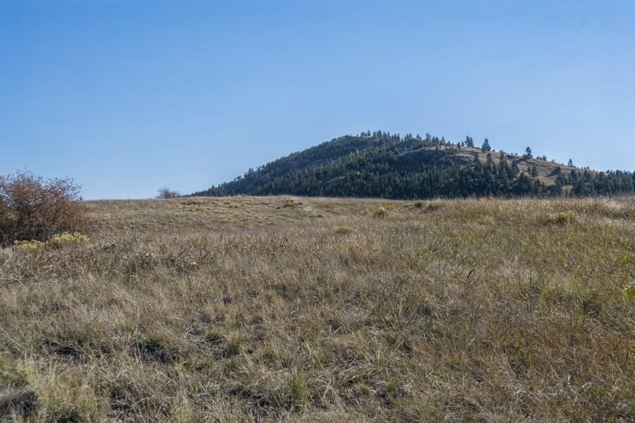 Lot 10 Whalebone Estates Drive