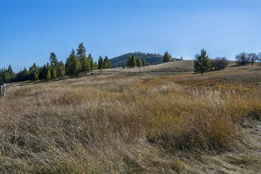 Lot 8 Whalebone Estates Drive