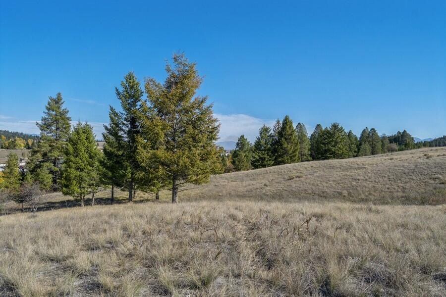 Lot 9 Whalebone Estates Drive