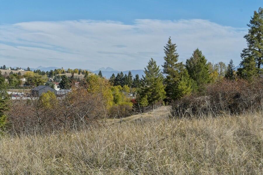 Lot 9 Whalebone Estates Drive