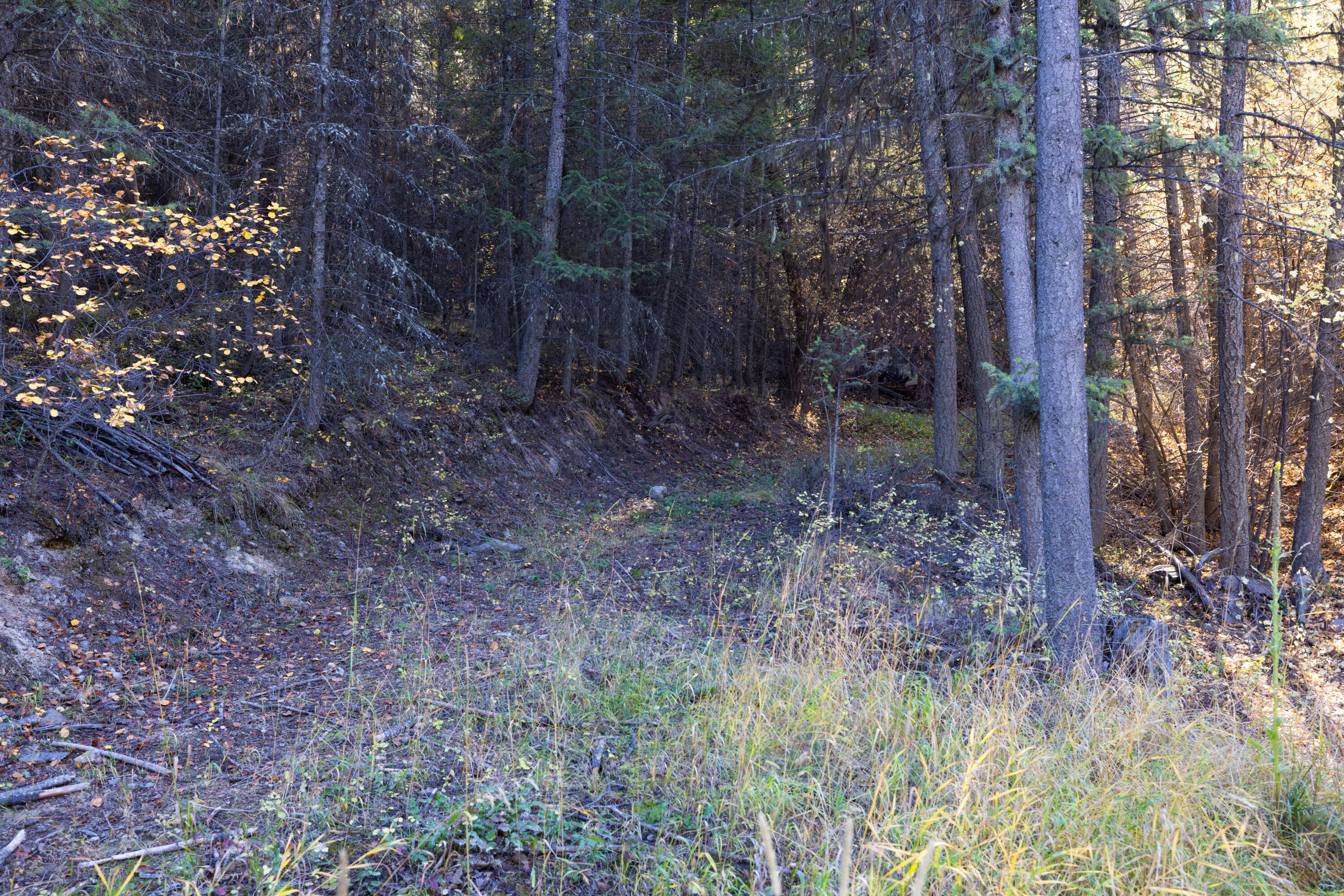 Nhn Gut Creek Road