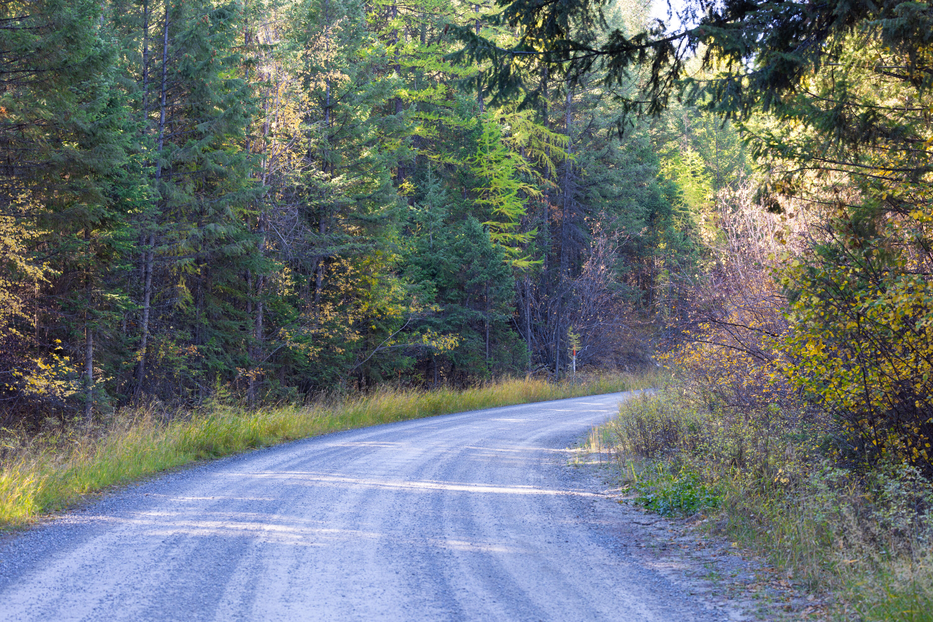 Nhn Gut Creek Road