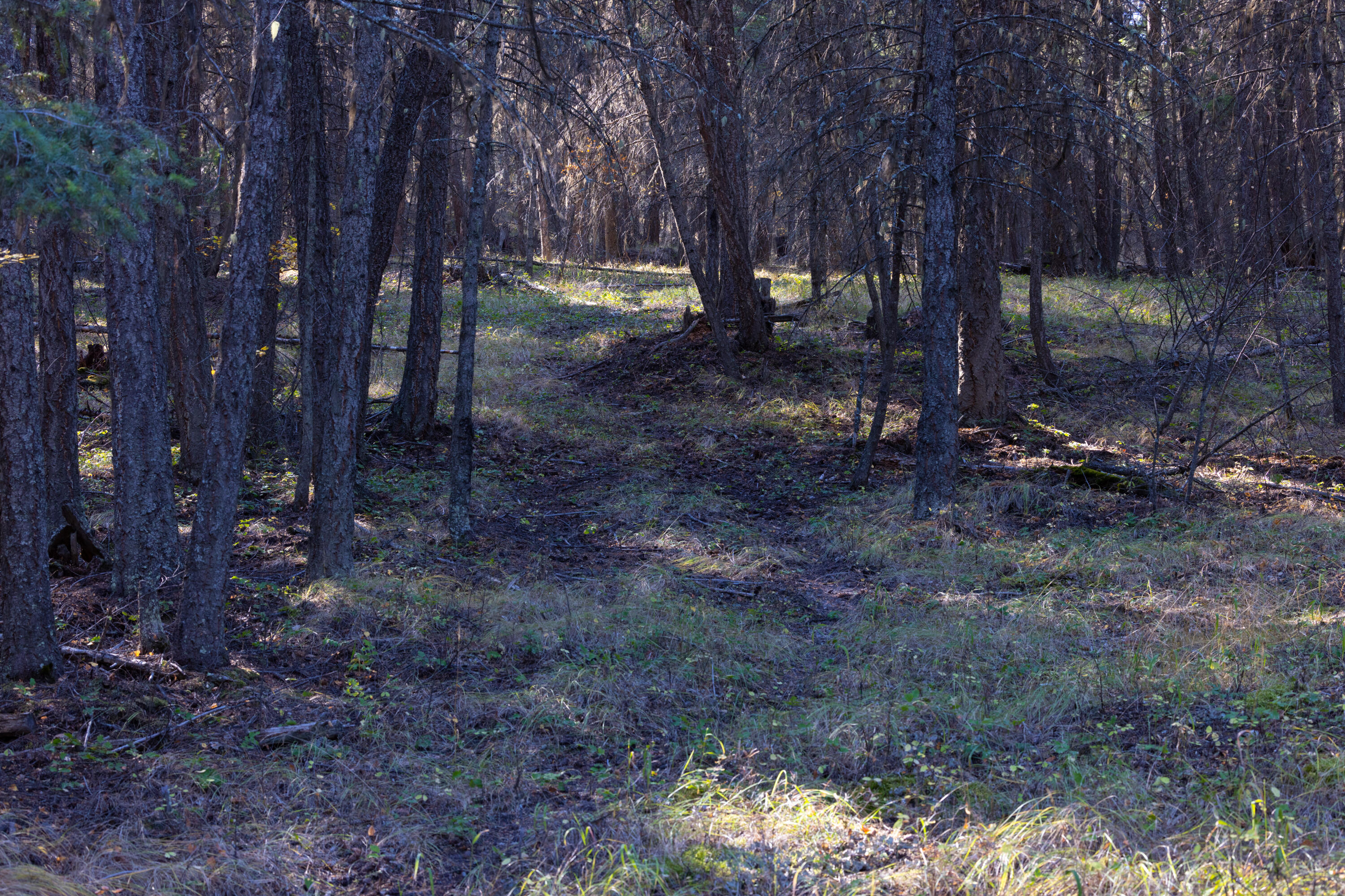 Nhn Gut Creek Road