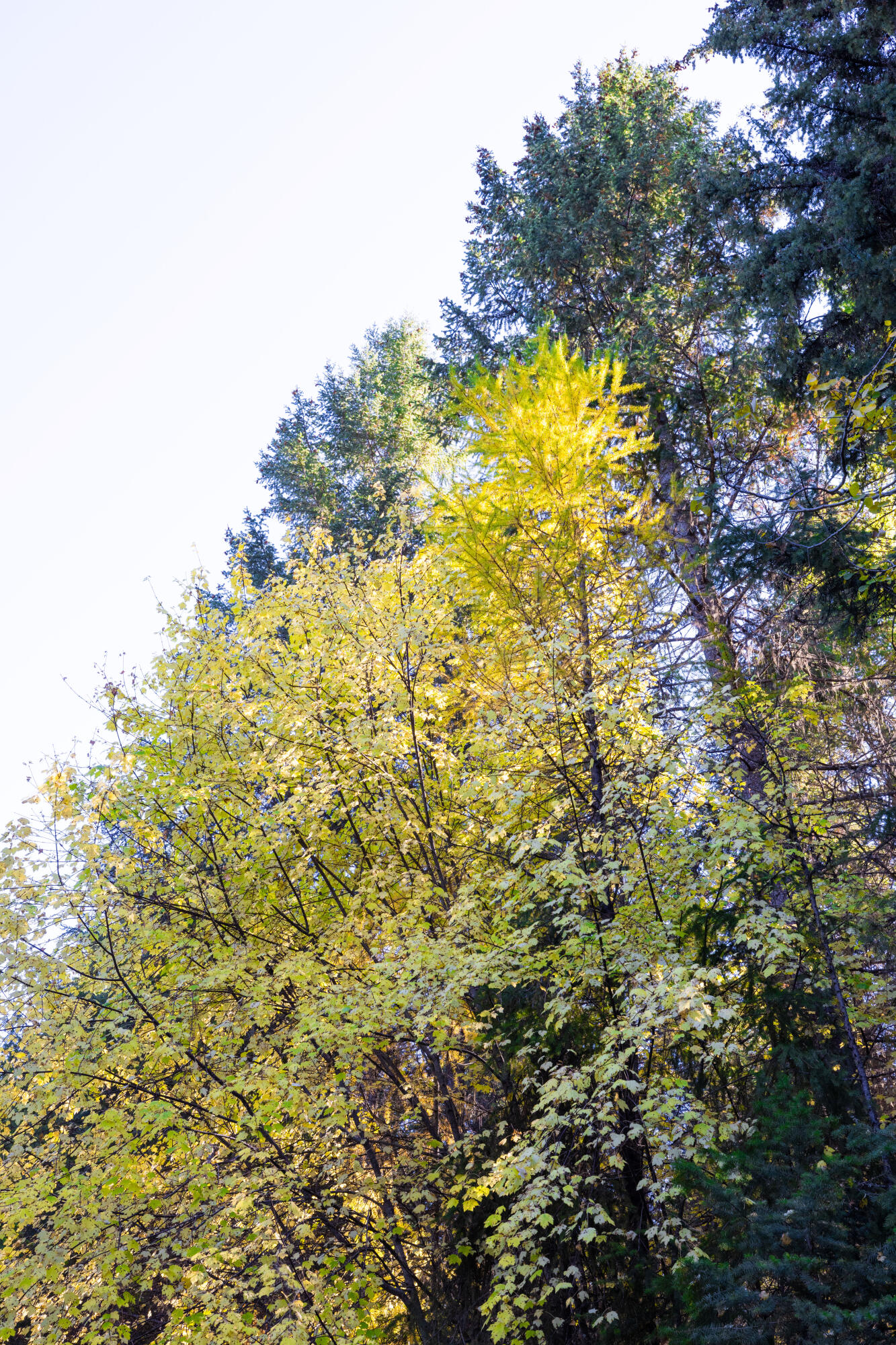 Nhn Gut Creek Road