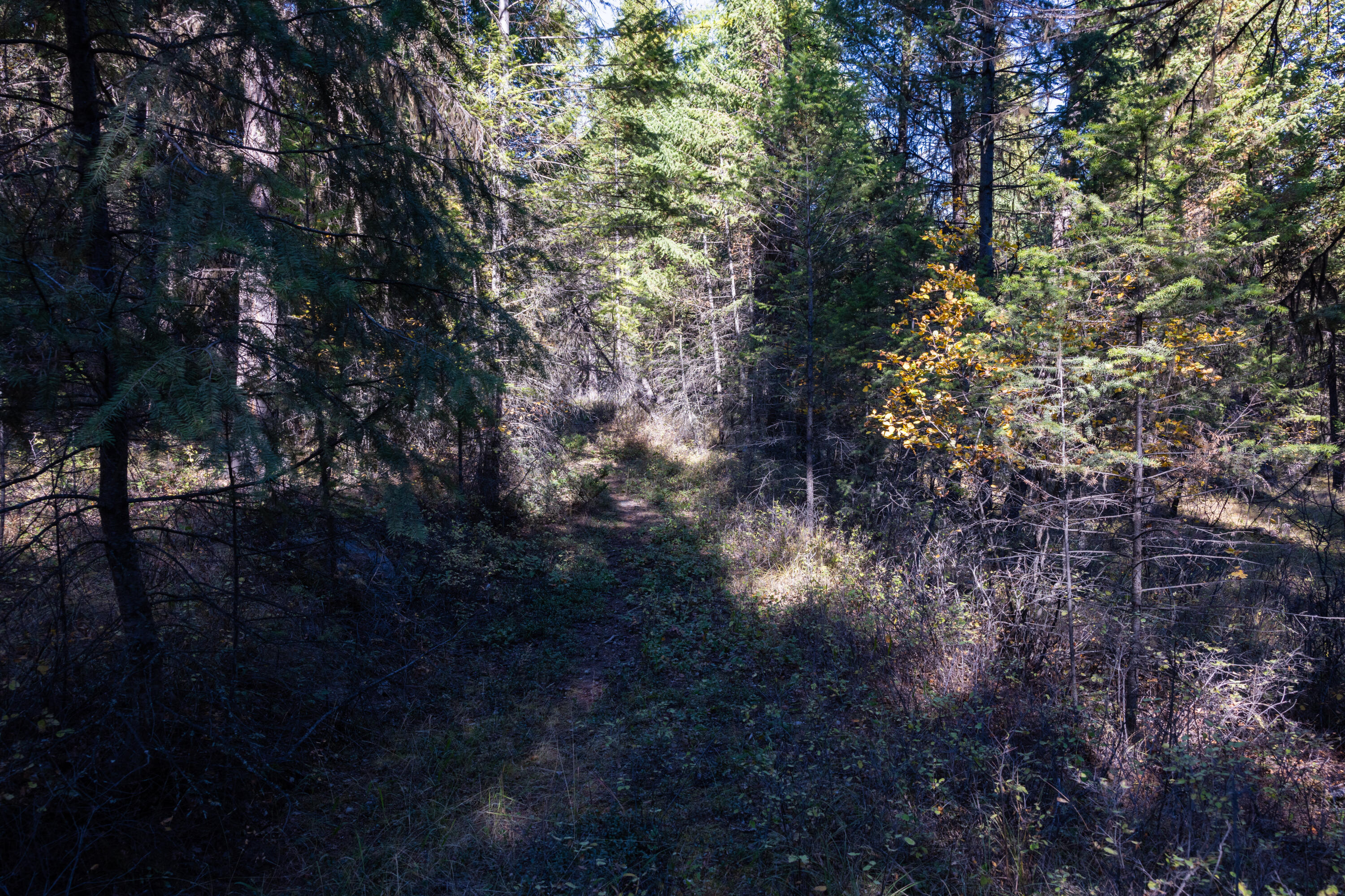 Nhn Gut Creek Road