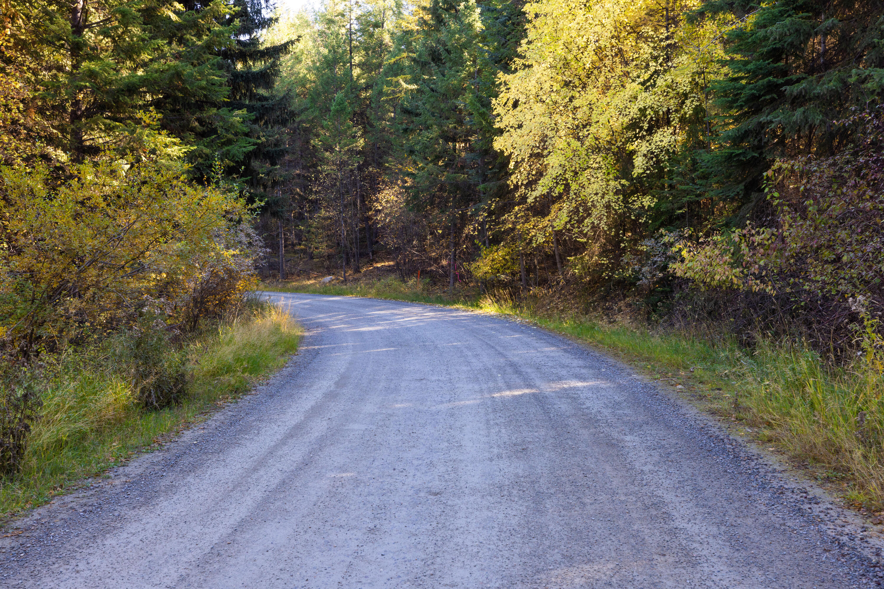 Nhn Gut Creek Road