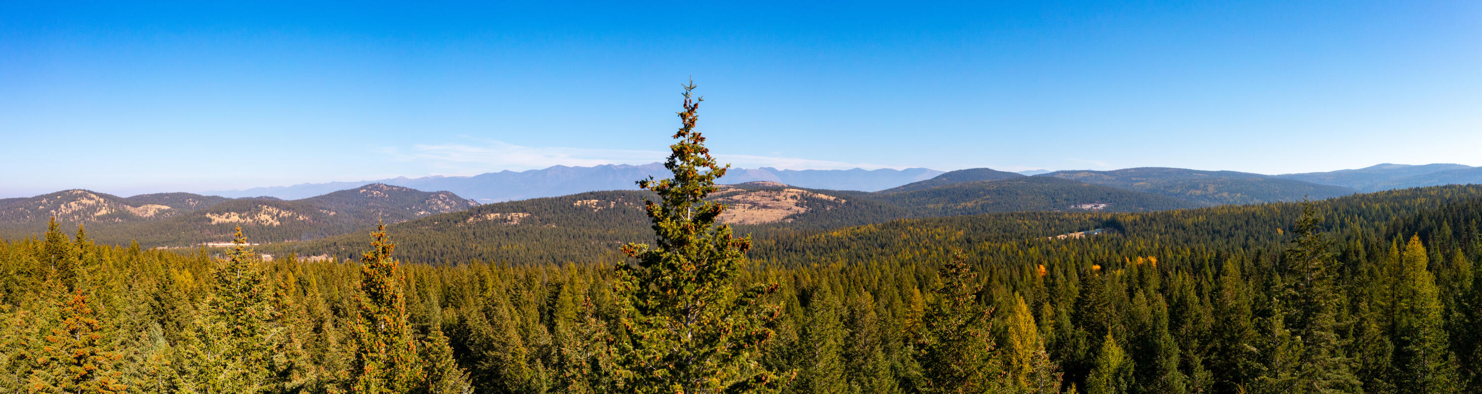 Nhn Gut Creek Road