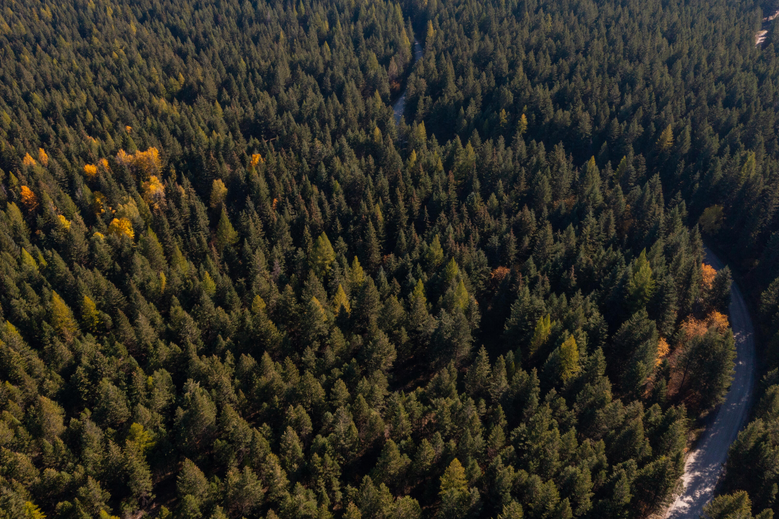 Nhn Gut Creek Road