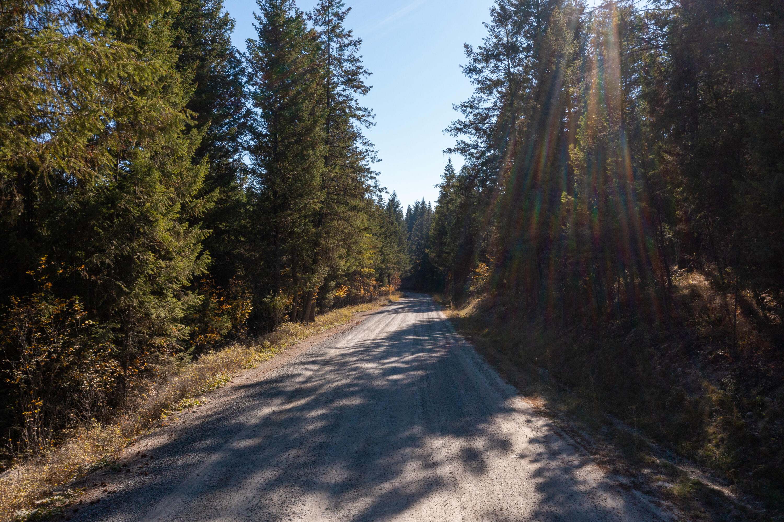 Nhn Gut Creek Road